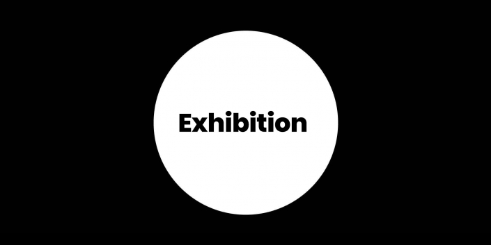 Inclusive Gallery project - Exhibition